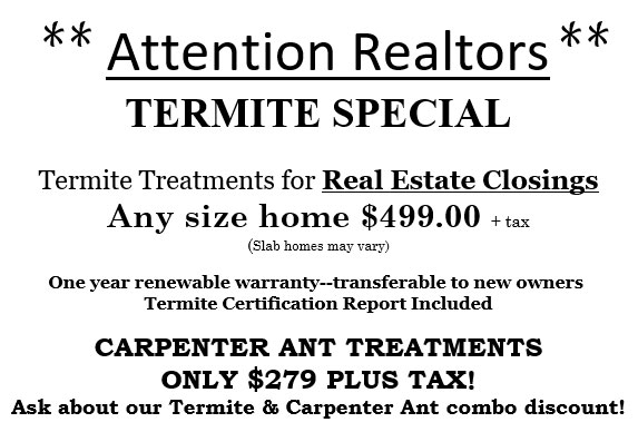 Termite Special